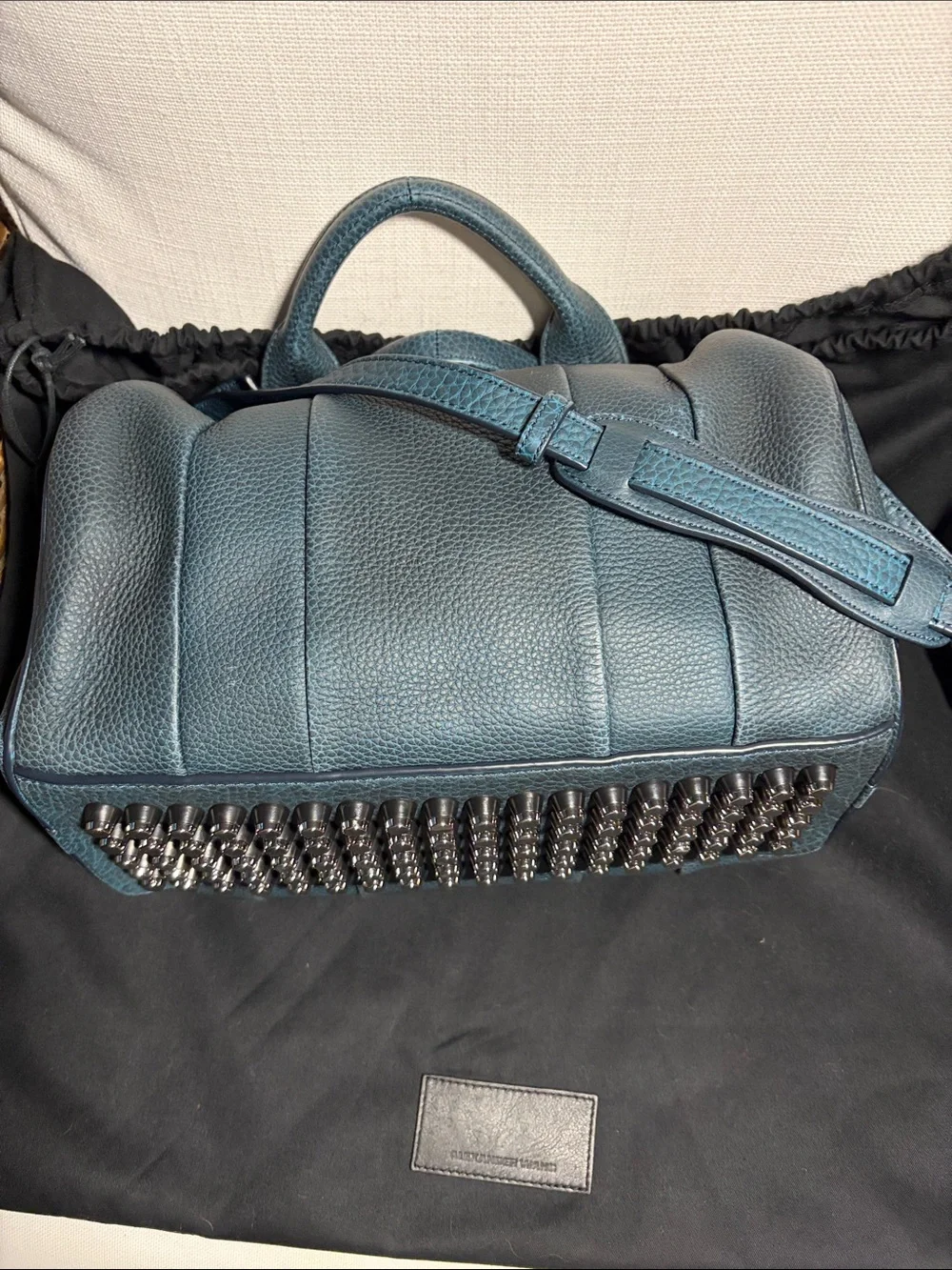 Alexander Wang Color changing Rocco